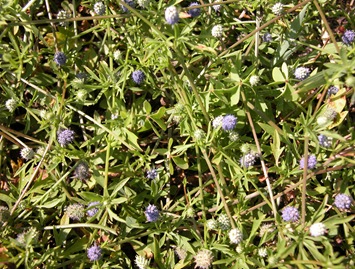 DSCN0087