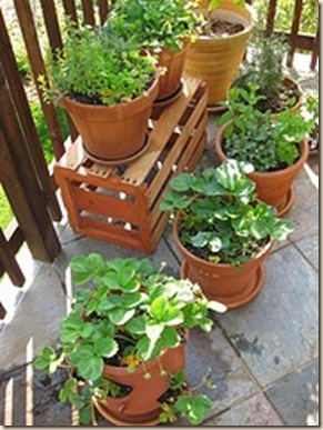 container gardening