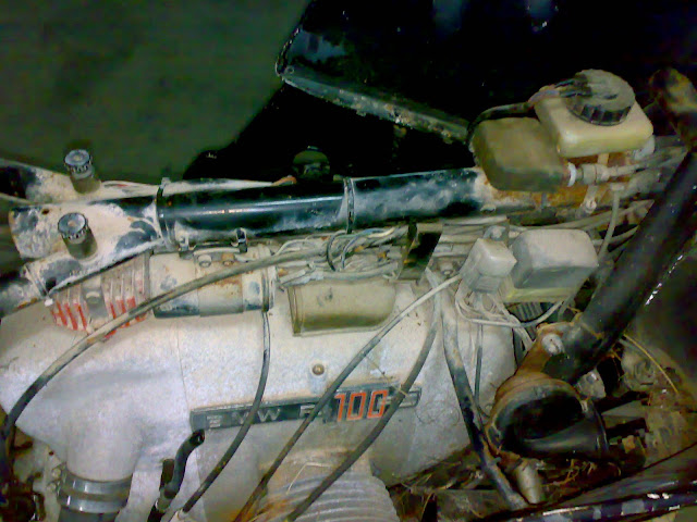 03112010818.jpg