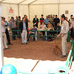 DSCF5433.JPG
