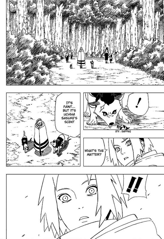 Naruto Shippuden Manga Chapter 355 - Image 14