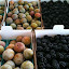 - Uploaded with the Flock Browser - http://www.flock.com