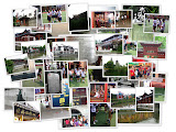 Picasa Photo Album Day 6