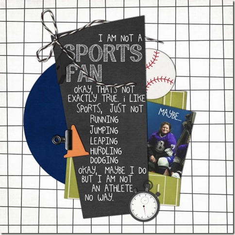 sports fan small sports fan small