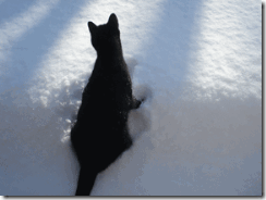 michele