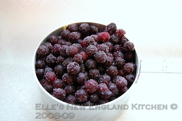 [frozen-wild-blueberries[6].jpg]