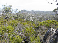 IMG_3075 View to Davis Lookout.JPG Photo
