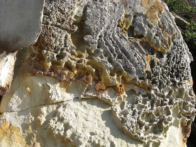 [IMG_2102Rockface2.jpg]