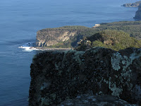 Shipstern Bluff Photo