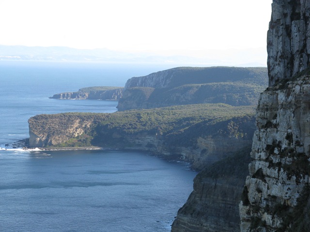 [IMG_3735 Shipstern coast[4].jpg]