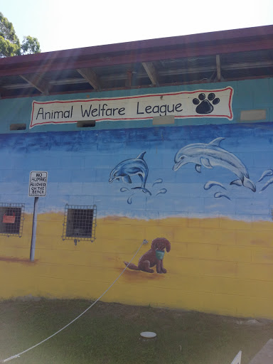Animal Welfare League Mural at Coombabah