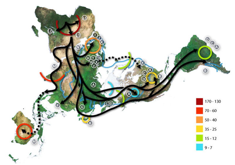 Map.png