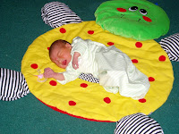 On her Lady Bug
