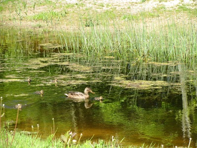 [IMG_73604.jpg]