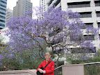 Susan with a purple tree on the way to the aquarium. (Mom photo)