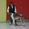 barn-hund5.jpg