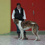 barn-hund5.jpg