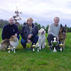 brukshundcup05-2.jpg