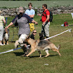 IMG_6294_.jpg