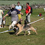 IMG_6294_.jpg