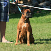 IMG_6274_.jpg