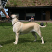 IMG_6334_.jpg