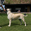 IMG_6334_.jpg