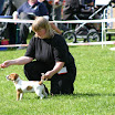IMG_8141-1.jpg