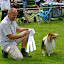 GCh%20Willownuts%20special%20friend-1.jpg