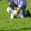 IMG_8150-1.jpg