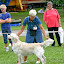 IMG_8208-1.jpg