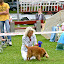 IMG_8210-1.jpg