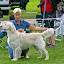 Drammen Park 23 august 2009
