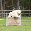 IMG_8771.JPG