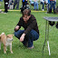 DSC_0176.JPG
