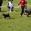 DSC_0561.JPG