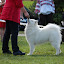 DSC_0062.JPG