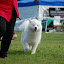 DSC_0071.JPG