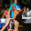 DSC_0436.JPG