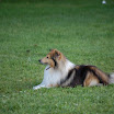 DSC_0486.JPG