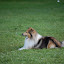 DSC_0486.JPG