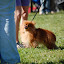 DSC_0564.JPG