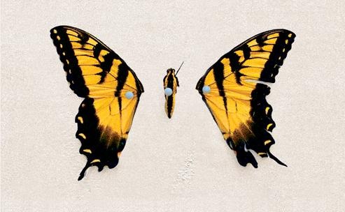 [paramore[4].jpg]