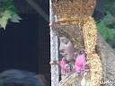Roc&iacute;o 2010, Domingo y Lunes de Pentecost&eacute;s