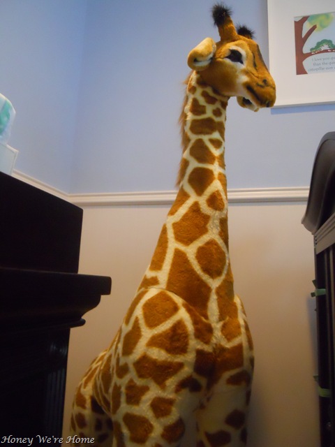 [Nursery0426.jpg]