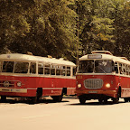 P8152106eee.jpg