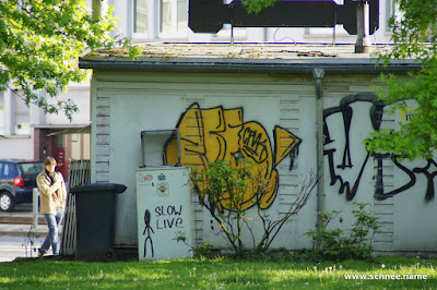 DSC02547-1.JPG