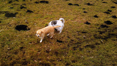 28022010279.JPG
