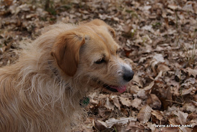 DSC00563.JPG