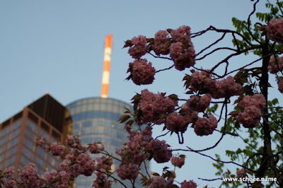 DSC00162-1.JPG